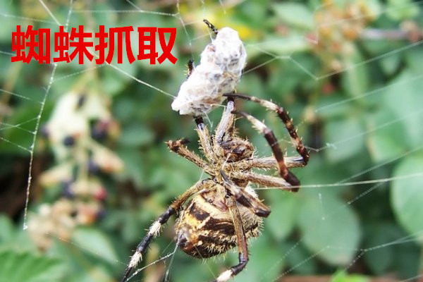 伤不起的FLASH，NAND Flash 缺货加剧价格猛涨